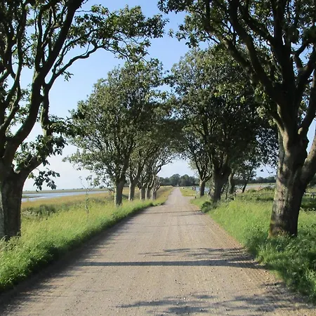 Дом отдыха 5 Person In Harboore-by Traum Harboor