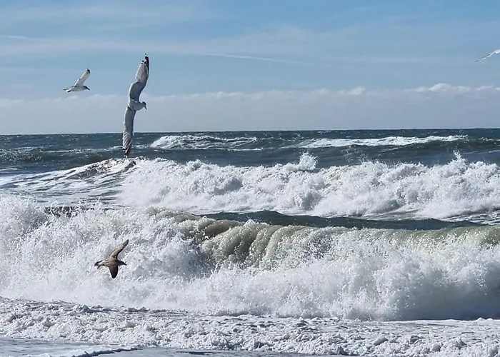 Дом отдыха 5 Person In Harboore-by Traum *